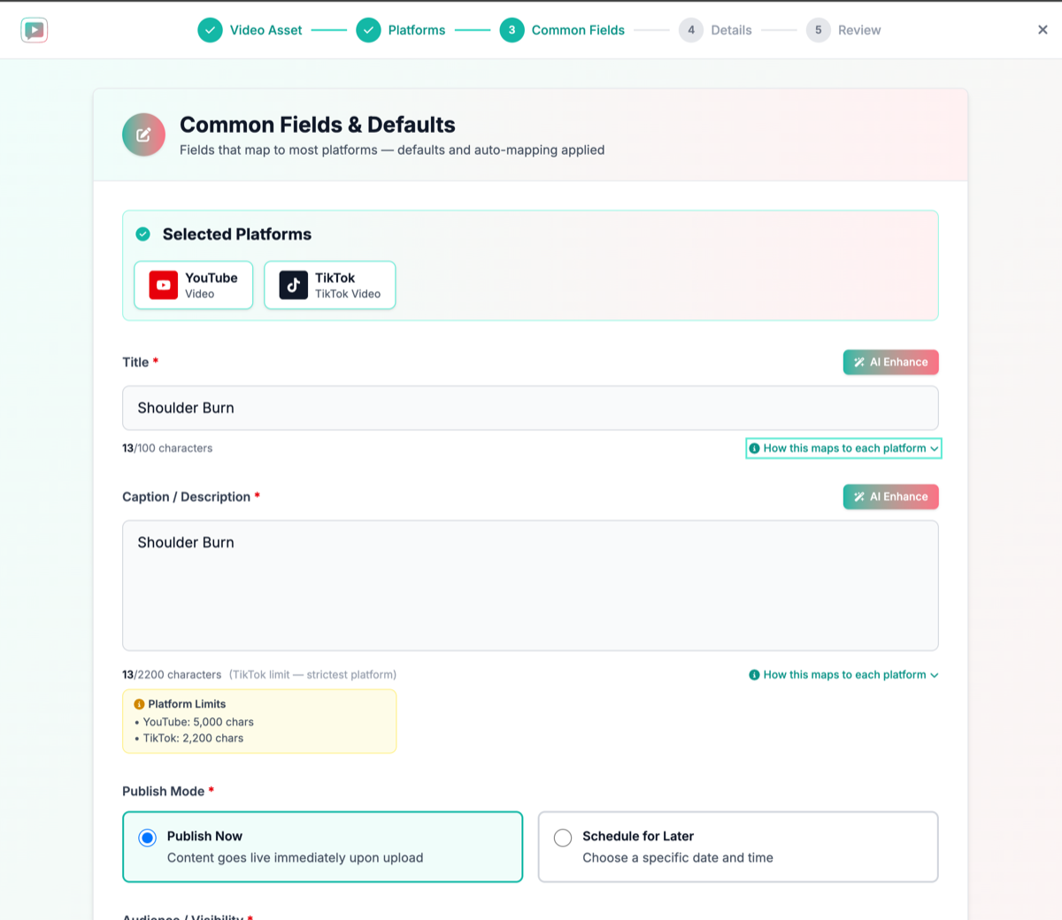 The Social Media Posts wizard publishing one Generated Video to YouTube and TikTok